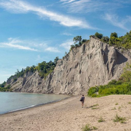 conceptual-steveleasock.com